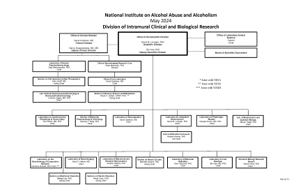 NIAAA DICBR Org Chart  May 2024